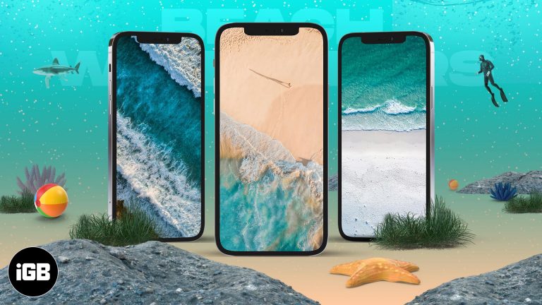 15 лучших пляжных обоев для iPhone в 2021 году (скачать бесплатно в HD)