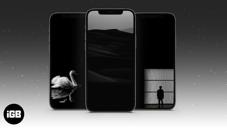17 красивых черных обоев для iPhone (Скачать бесплатно)