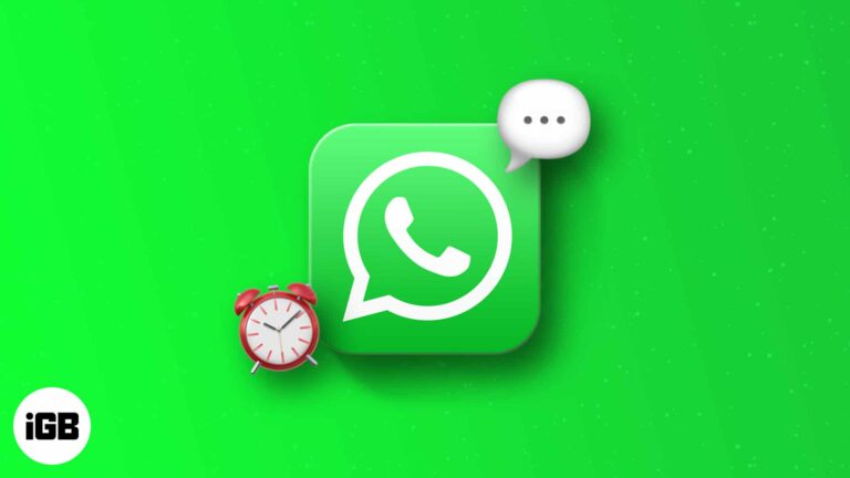 Как запланировать сообщения WhatsApp на iPhone: 3 способа