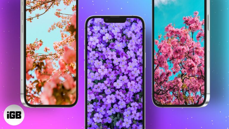 10 свежих и красивых весенних обоев для iPhone в 2022 году