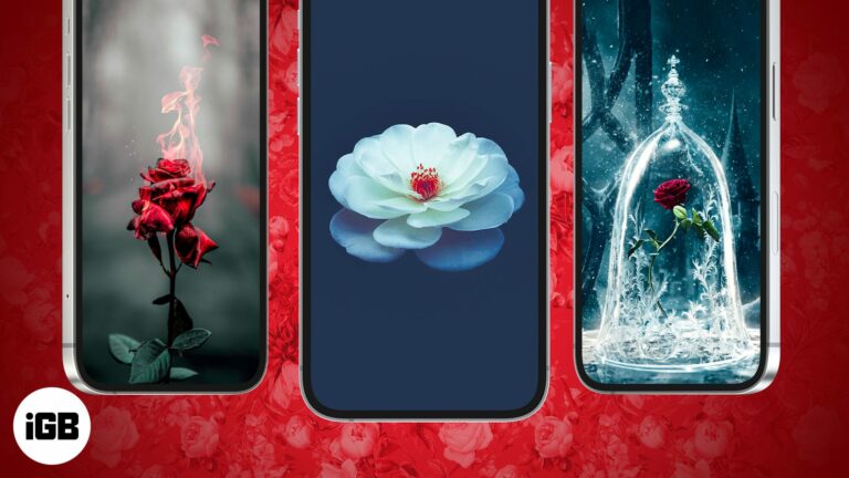 12 красивых контрастных розовых обоев для iPhone в 2022 году