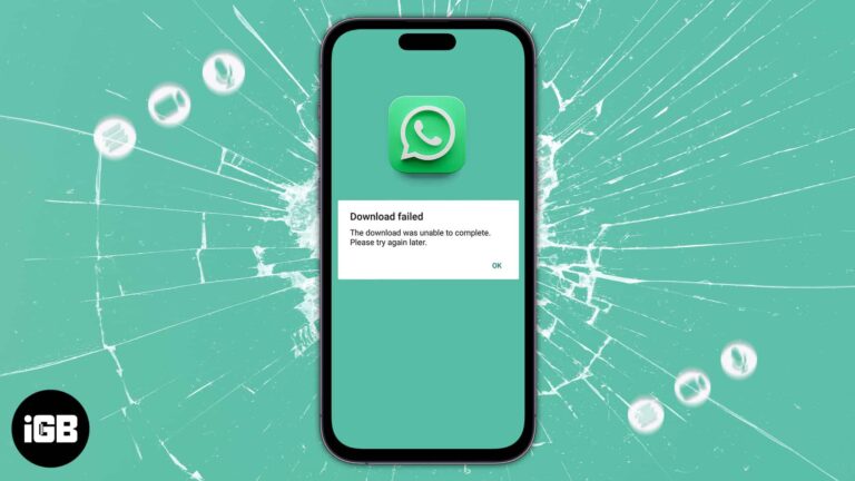 Медиафайлы WhatsApp не загружаются на iPhone?  10 способов исправить это!