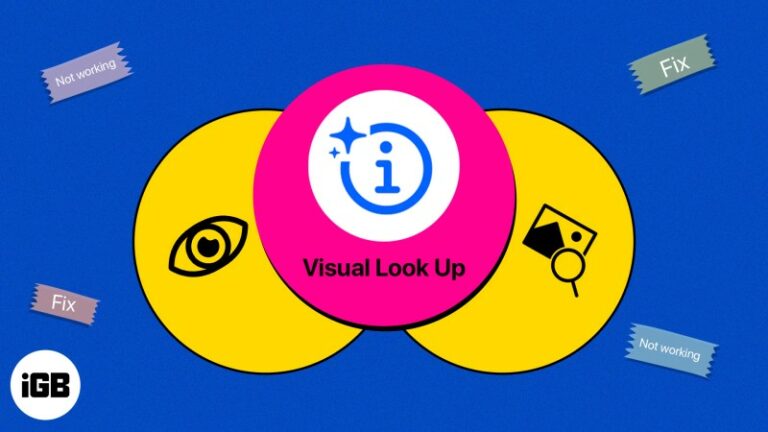 Visual Look Up не работает на iPhone?  9 способов исправить это!