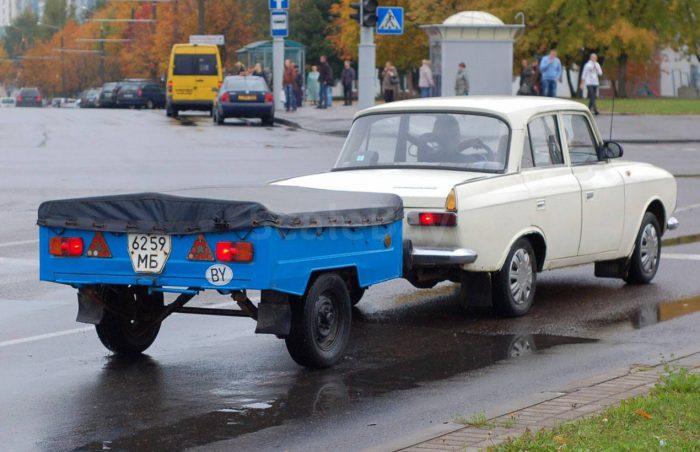 Ремарке Zubrenok за лек автомобил: технически характеристики