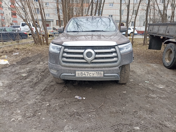 Great Wall - фото 1