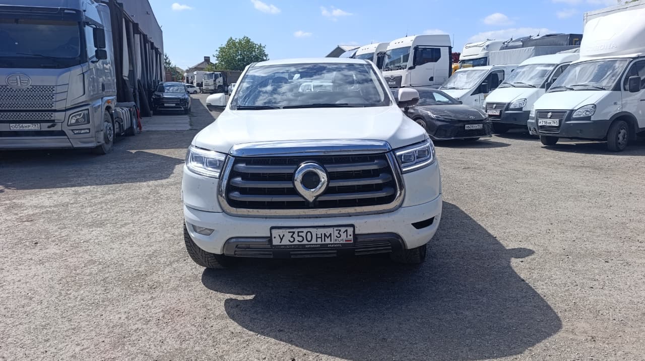 Great Wall - фото 1