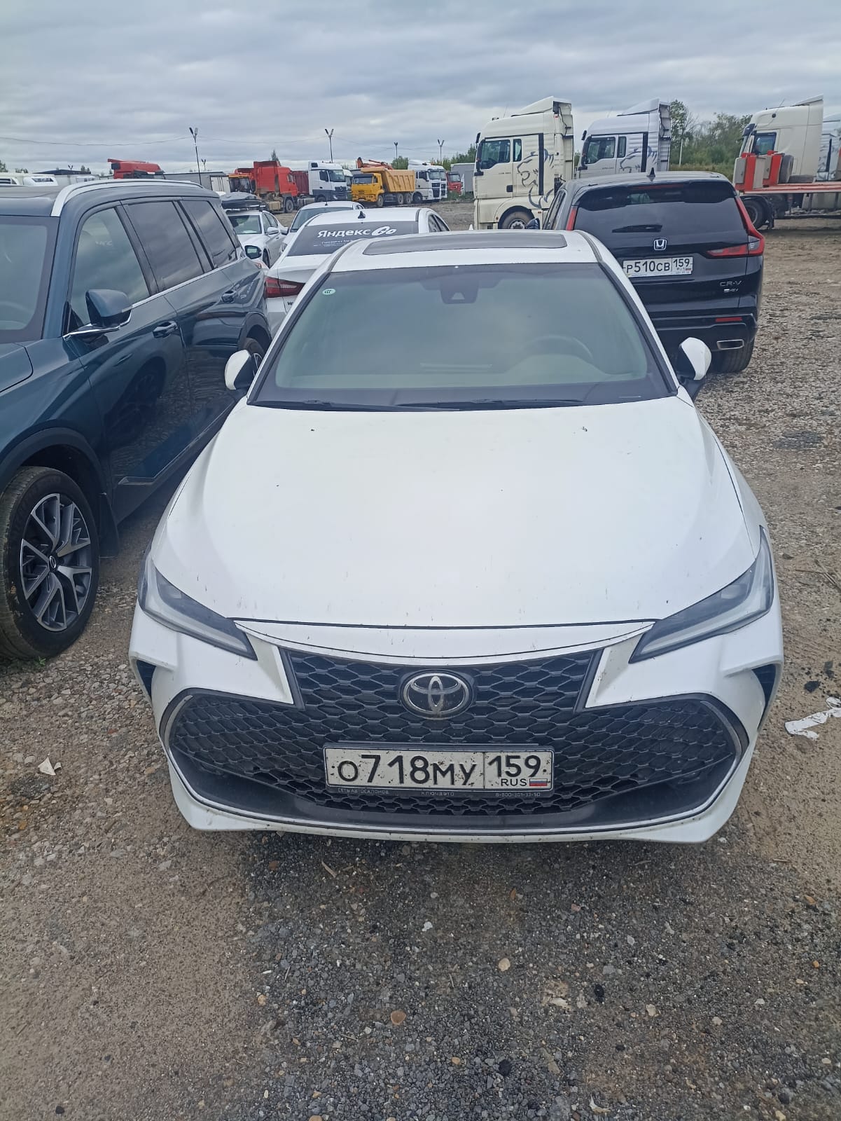 Toyota AVALON - фото 1