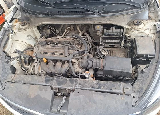 Kia Rio - фото 4