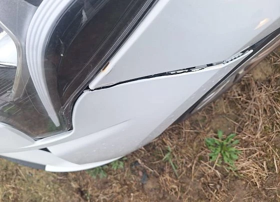 Kia Rio - фото 3