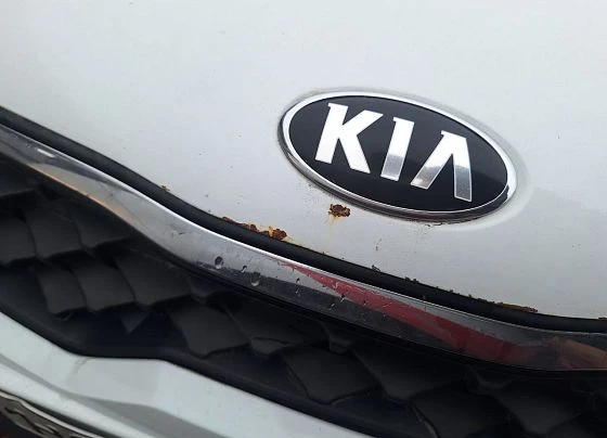 Kia Rio - фото 4