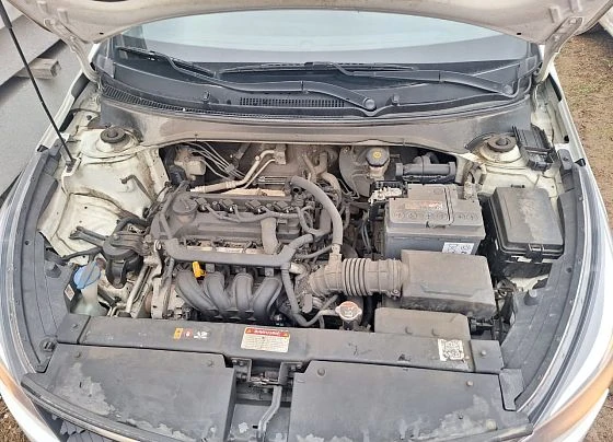 Kia Rio - фото 5