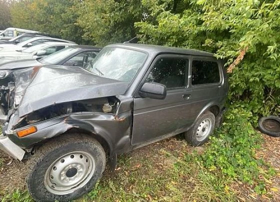 Lada 4x4 (Нива) - фото 1