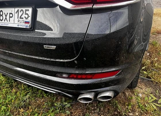 Geely Tugella - фото 2