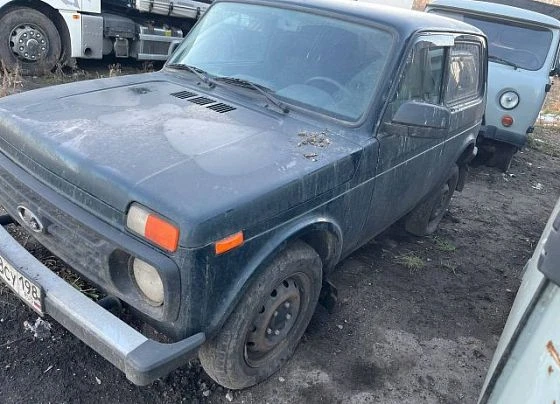 Lada - фото 1